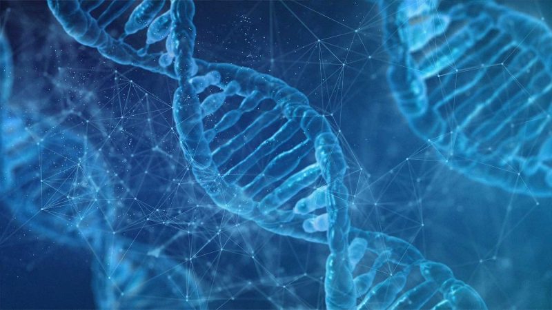 亿万28·(中国平台)官方网站